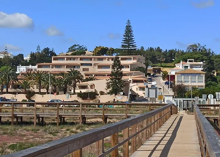 Palmeira