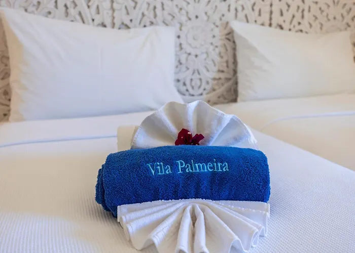 Palmeira *