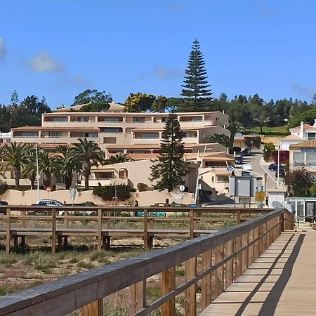 Palmeira