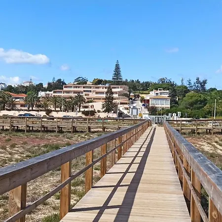 Palmeira Lagos